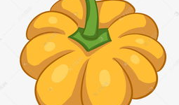 南瓜动漫,奇幻世界中的奇幻之旅